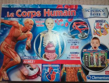 Jeux Le corps Humain De Science Est Jeux