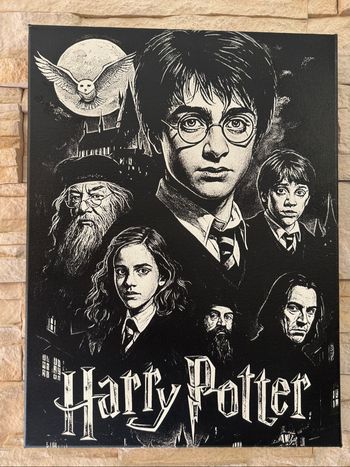 Tableau personnages Harry Potter en toile 30x40cm