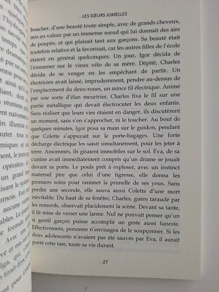 Livre les sœurs jumelles - photo numéro 5
