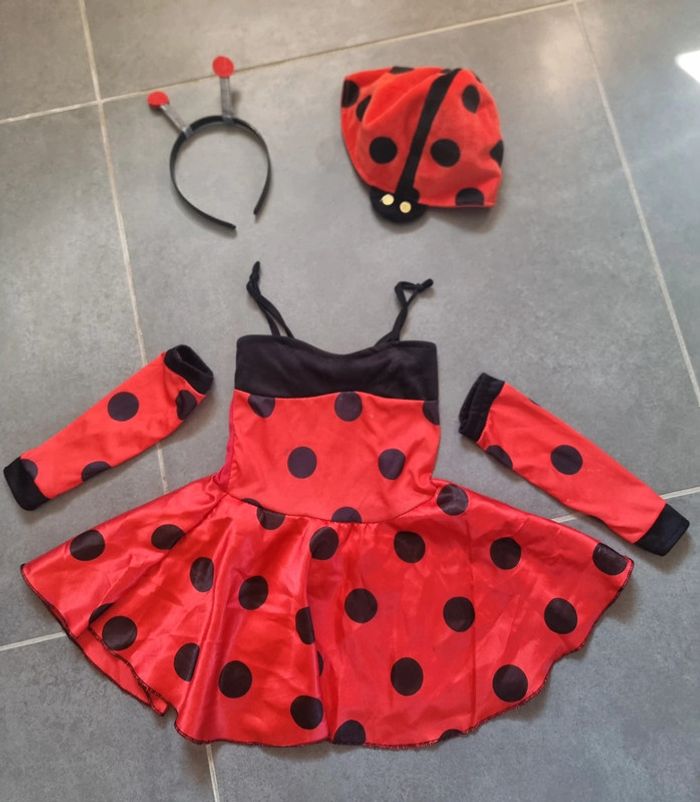 Déguisement de coccinelle - photo numéro 3