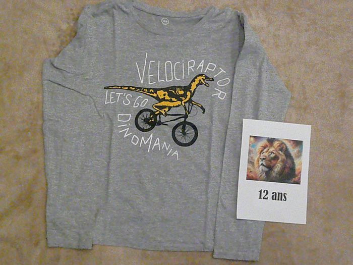 Lot de 2 tee-shirts 12 ans (n°6) - photo numéro 2
