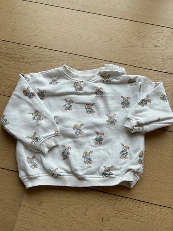 Pull Zara