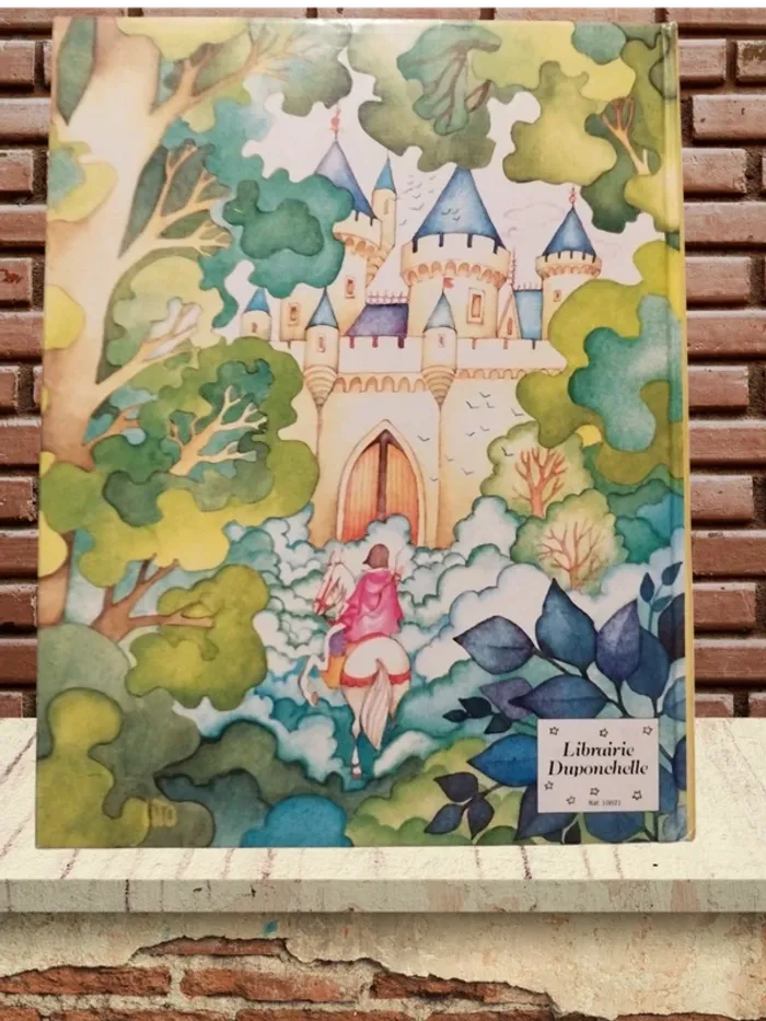 Livre - photo numéro 2