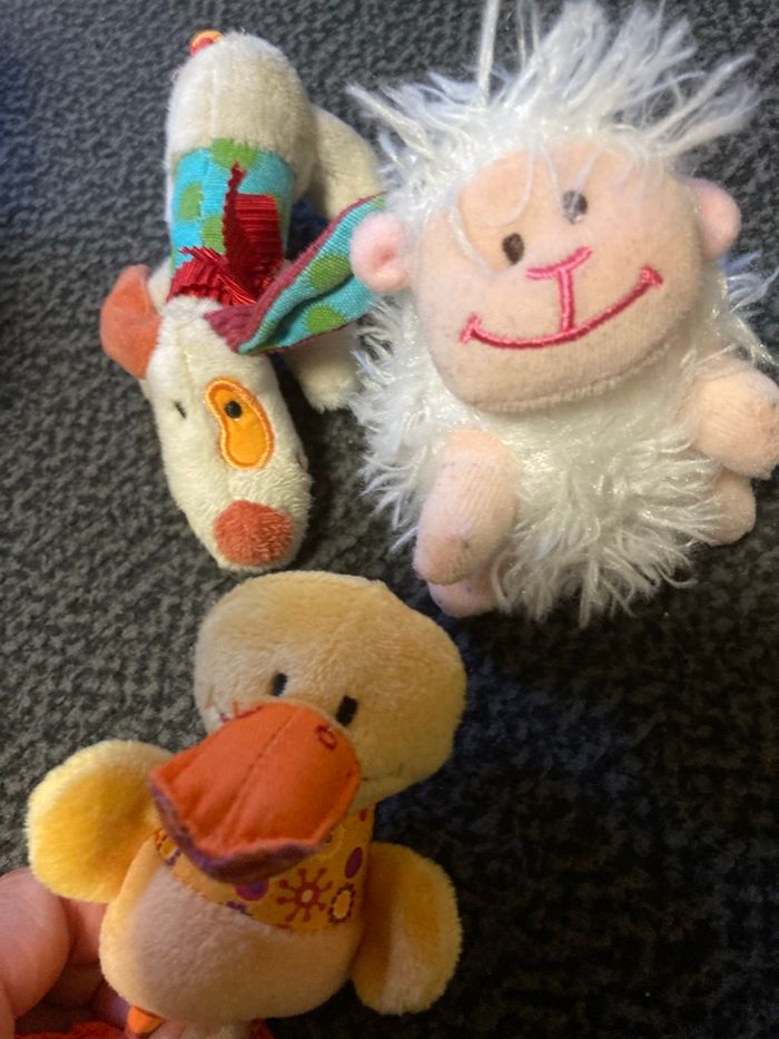 Ma 1ère ferme Lilliputiens - photo numéro 2