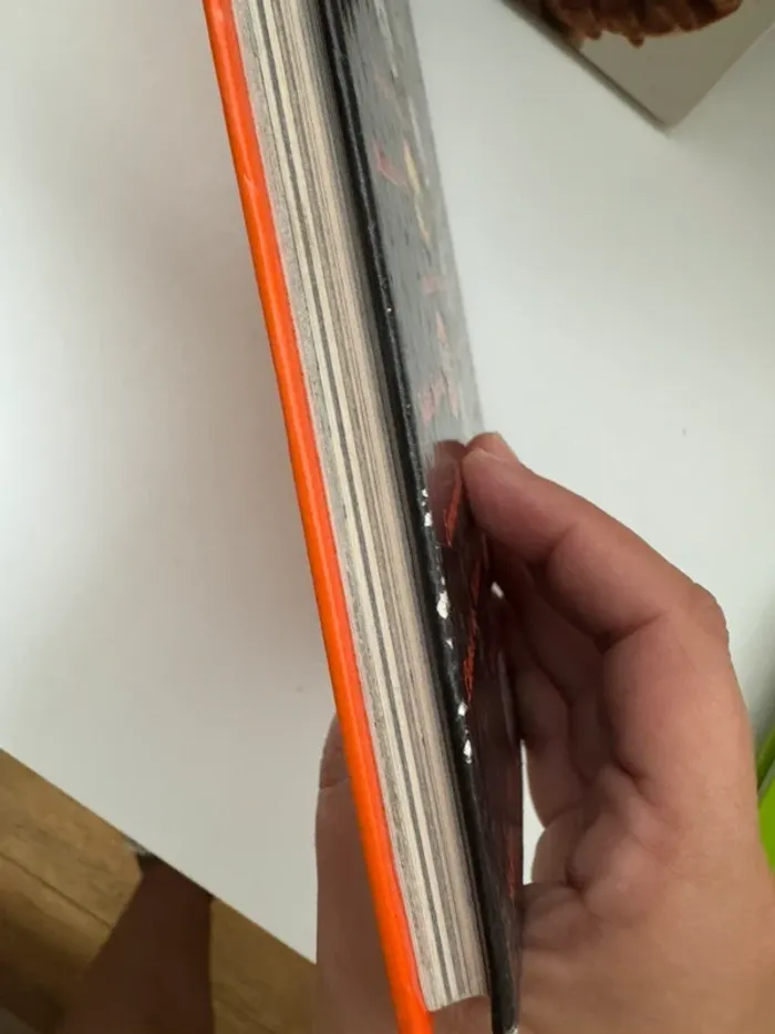 Livre - photo numéro 2