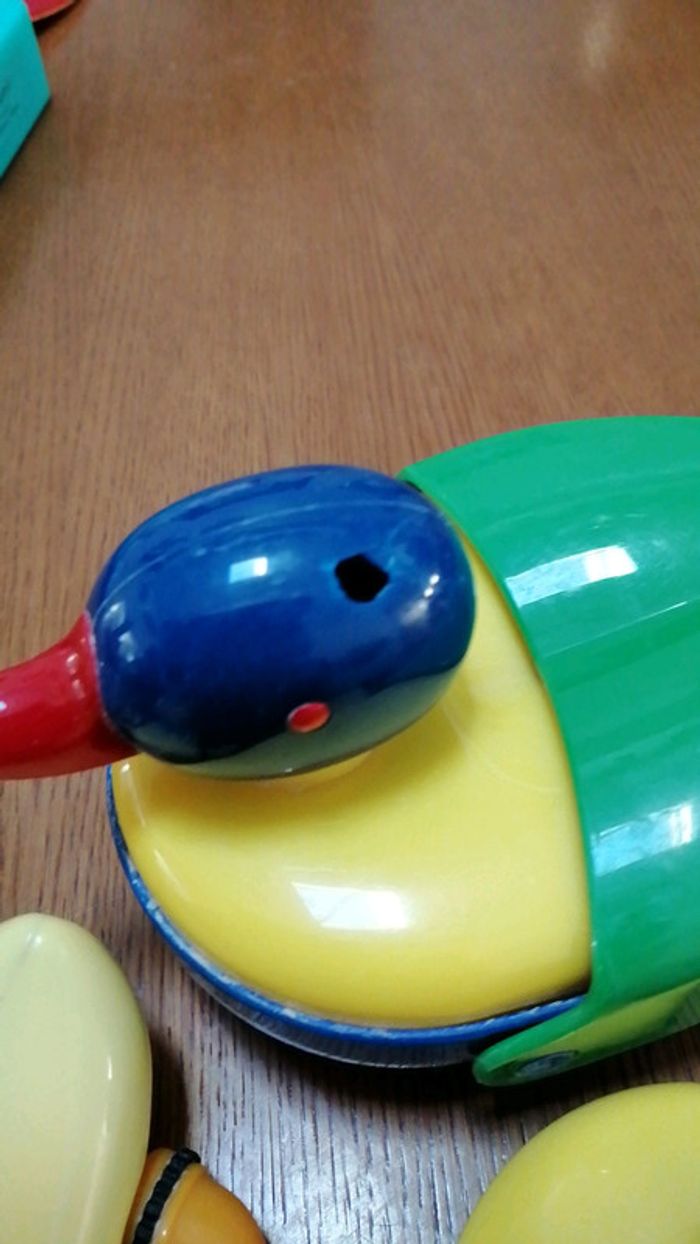 Canards flottant - photo numéro 3