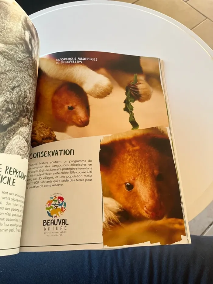 Les plus belles photos de nos bébés, animaux - photo numéro 9