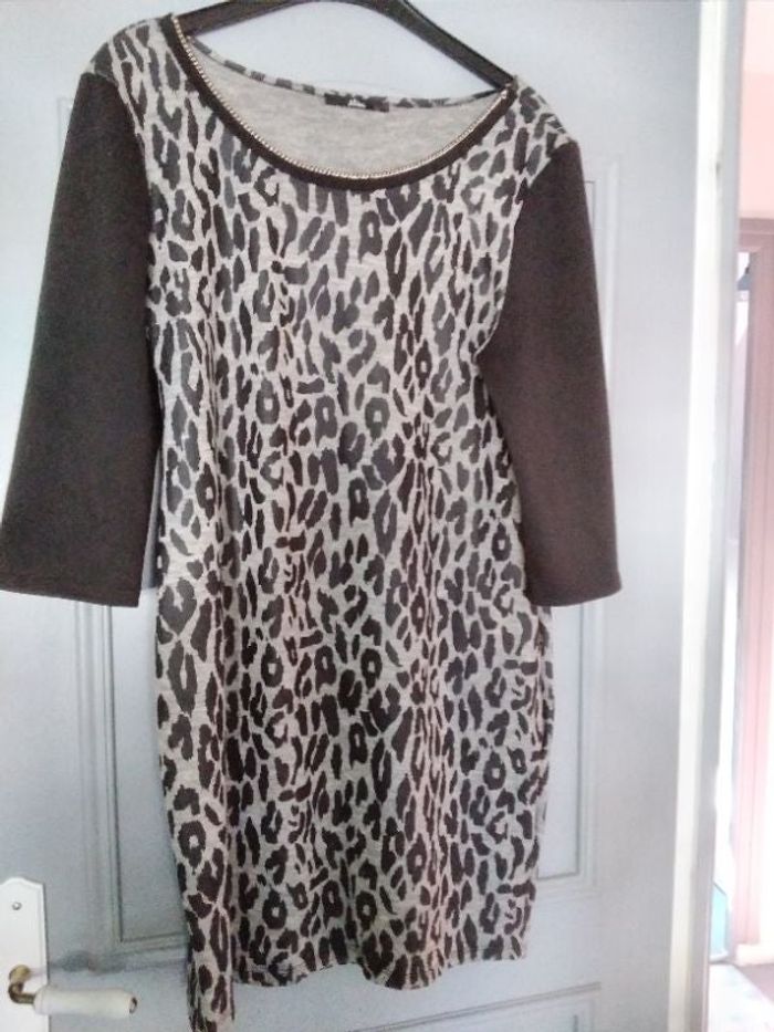 Robe zèbre avec manches 3 quart