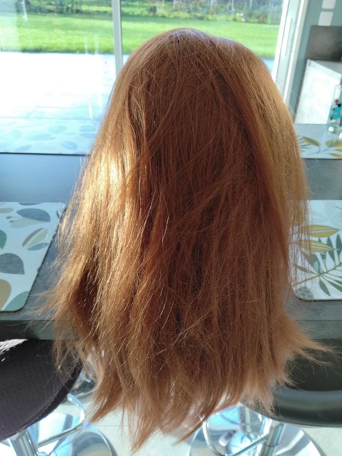 Tête à coiffer professional studio hair - photo numéro 4