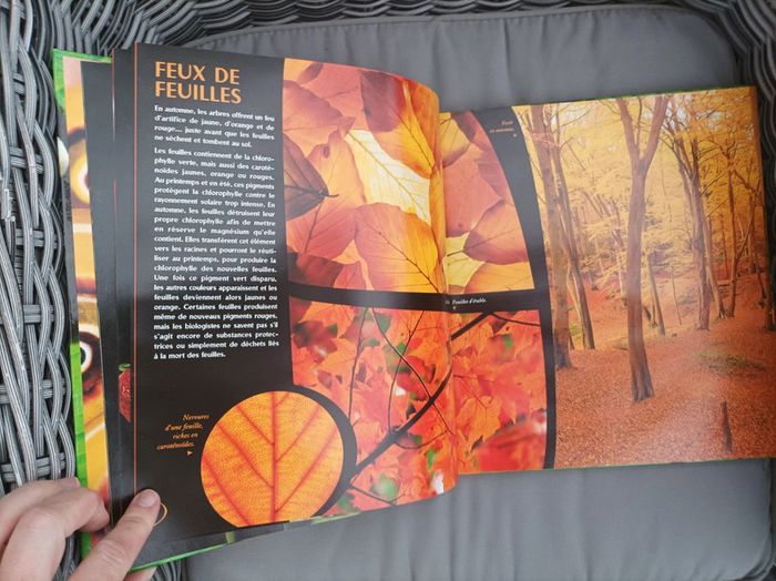 Magnifique livre " les couleurs dans la nature" TBE - photo numéro 4