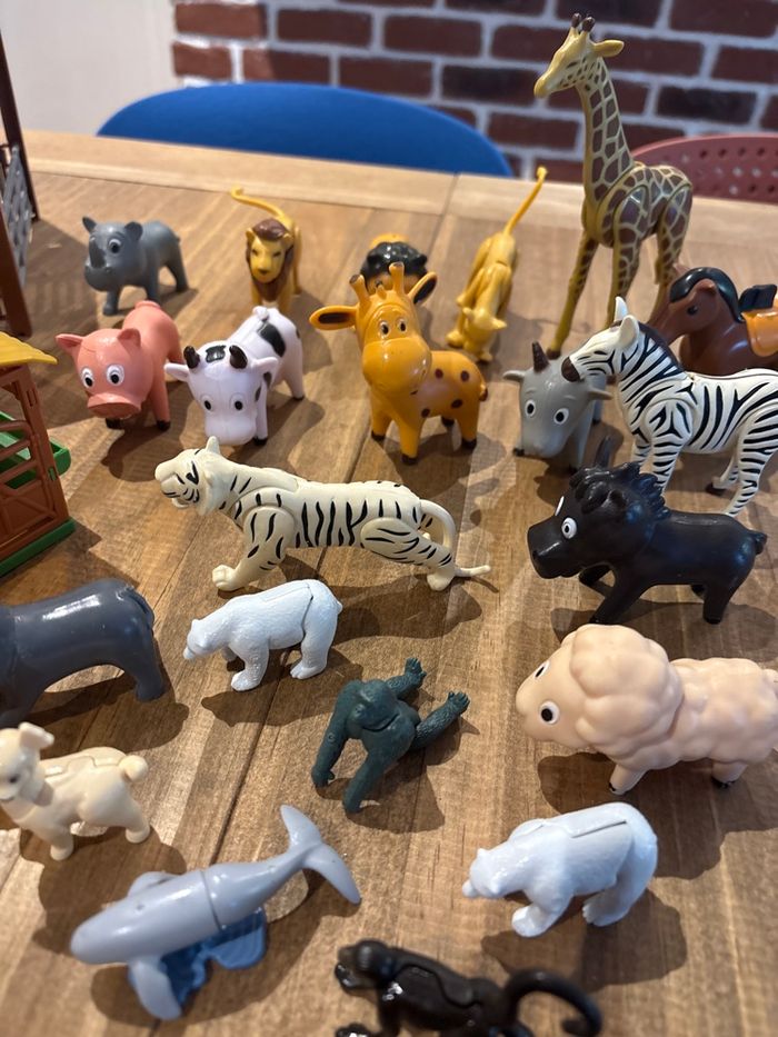 Enclos avec animaux - photo numéro 4