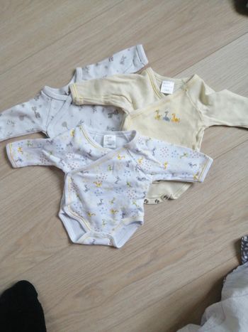 Lot 3 bodies T0