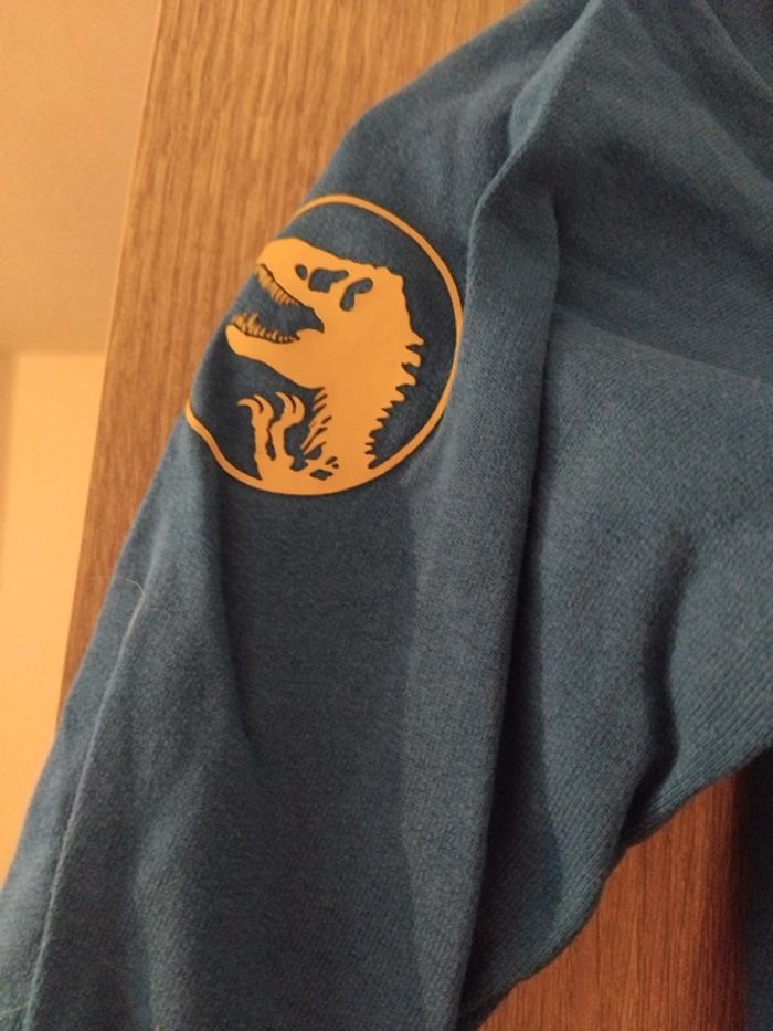 Pull 🦖 - photo numéro 4