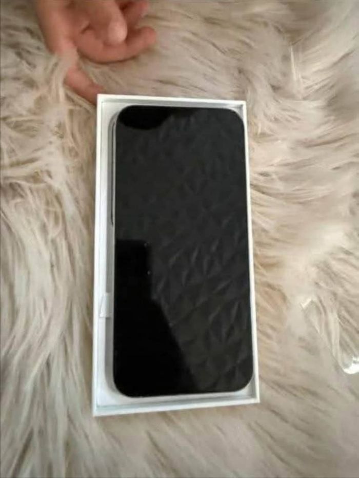 iPhone quinze pro - photo numéro 4