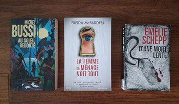 3 Thrillers grand format dont La femme de ménage qui voit tout 