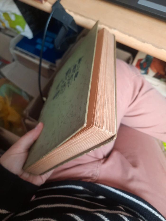 Livre en allemand allemand duchs verbotene land p h - photo numéro 2