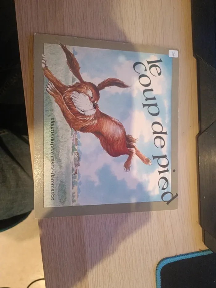 Livre le coup de pied, père castor 1979