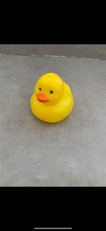 Petit canard