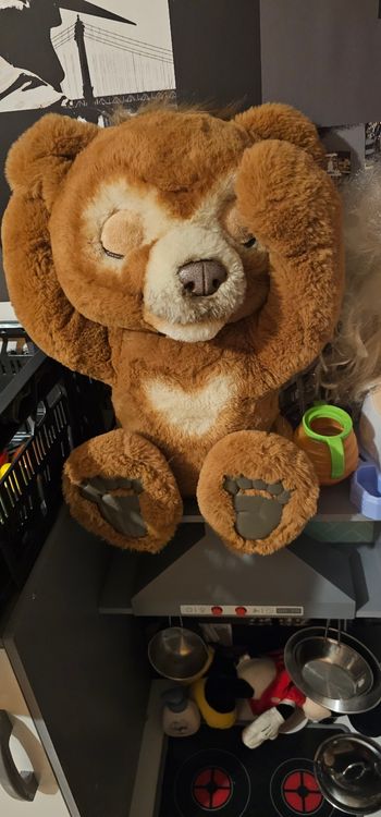 Cubby ourson interactif