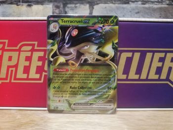 Carte Pokemon Terracruel EX 005/091