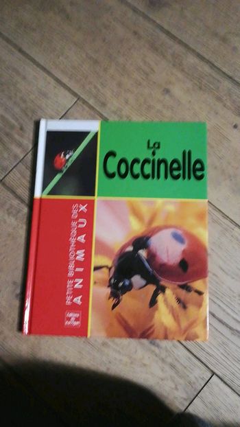 La coccinelle