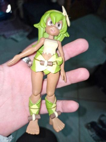Amalia dofus