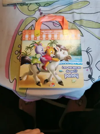 Livre les vacances du petit poney