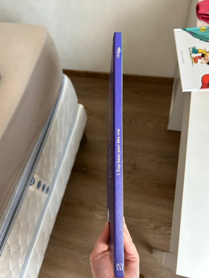 BD real life Disney - photo numéro 3