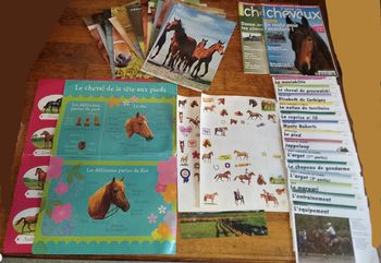 Chevaux