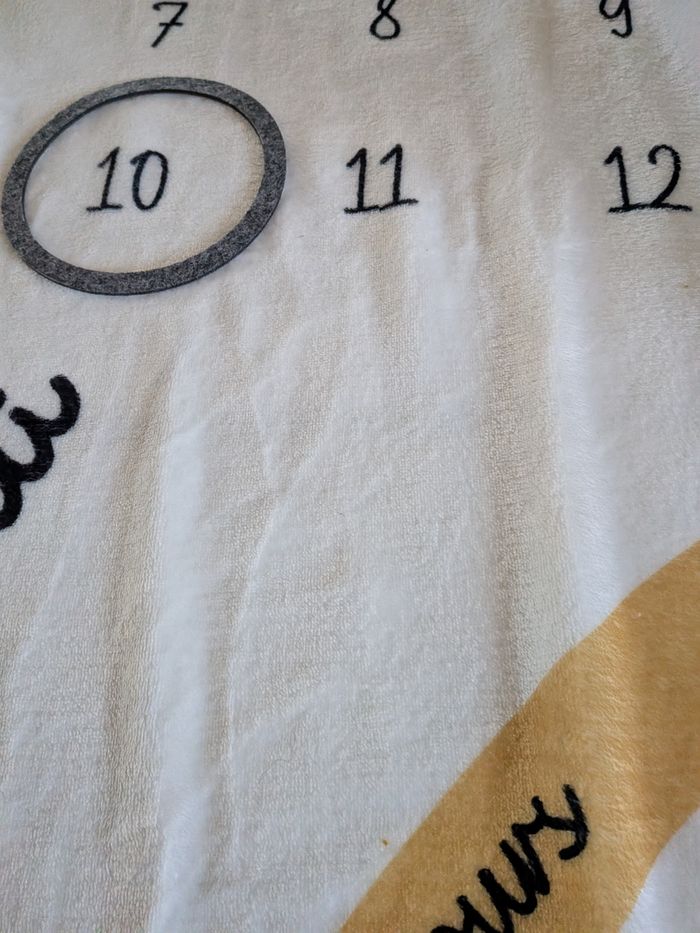 Plaid photo évolution - photo numéro 2