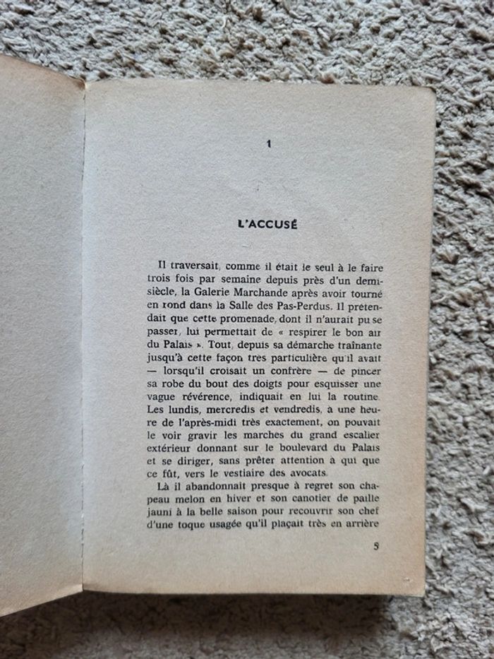 Roman La brute de Guy des Cars (1970) - photo numéro 5