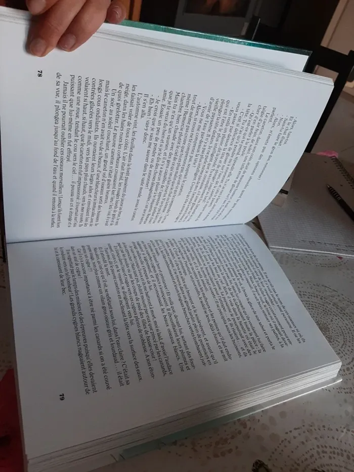 Gros livre histoires contes Andersen - photo numéro 5