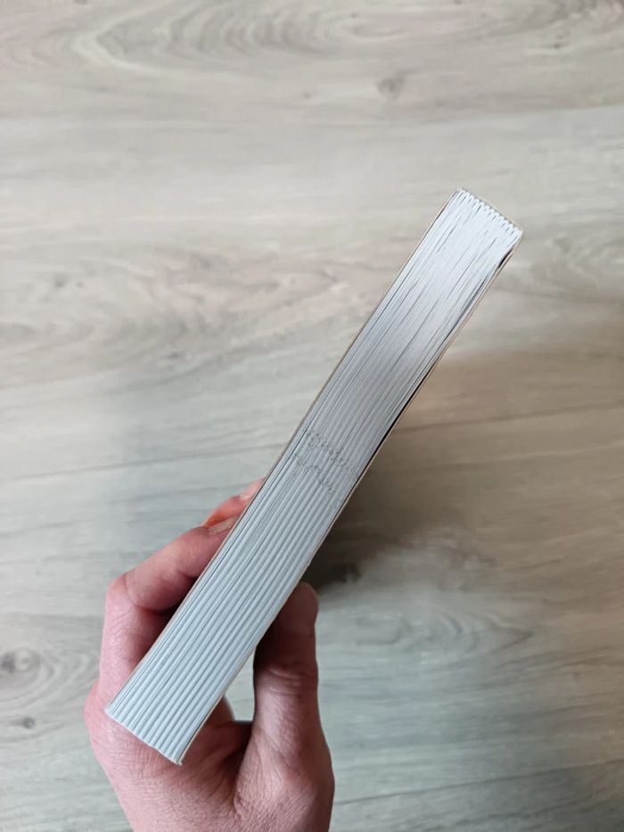 Au pays du hêtre Des hommes, une histoire - D'Illizfaou à Illifaut Vincent Le Maire - photo numéro 6