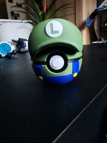 pokeball Luigi