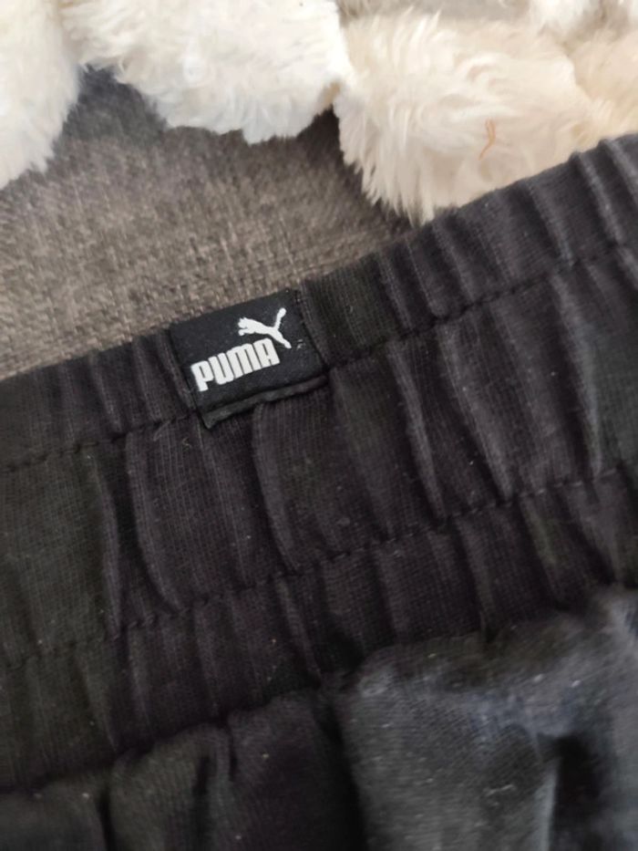 Short puma - photo numéro 2