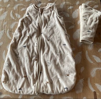 Gigoteuse 0-6 mois tog 2.5