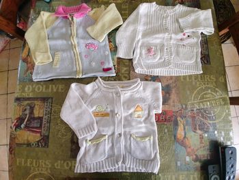 Lot de 3 gilets épais.