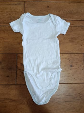 Lot bodys manches courtes