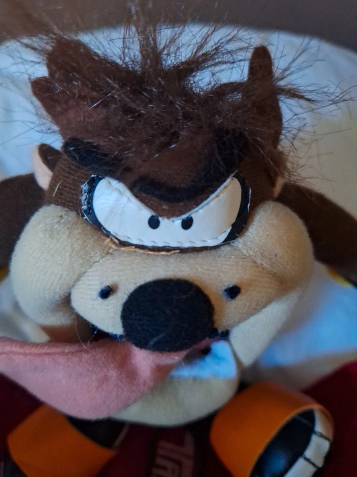 Taz sur son skate board - photo numéro 4