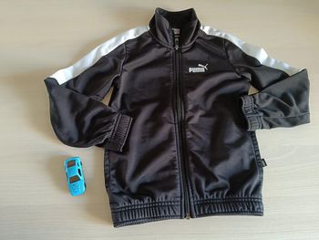 veste