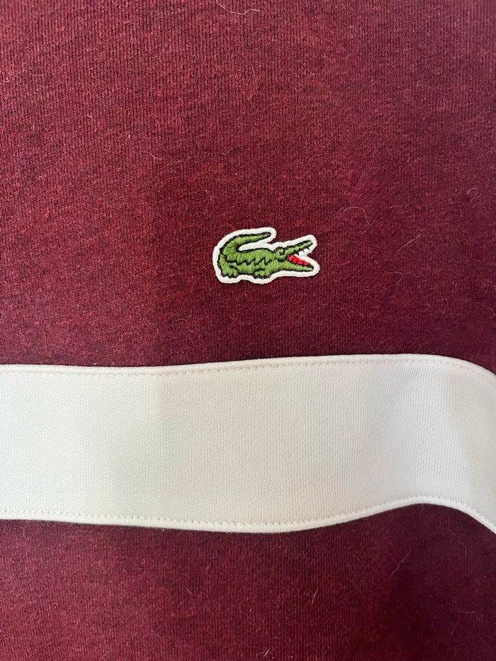 Sweat Lacoste bordeaux - photo numéro 3