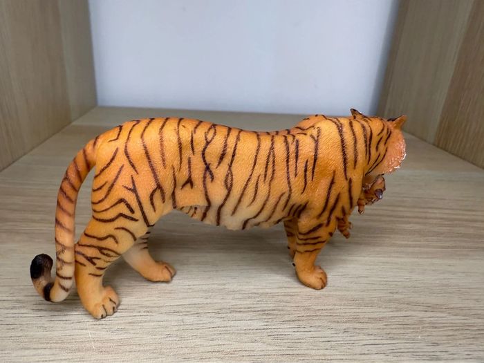 Tigre papo - photo numéro 3