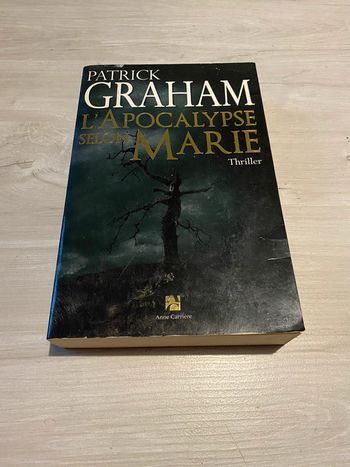 L'apocalypse selon Marie Par Patrick Graham