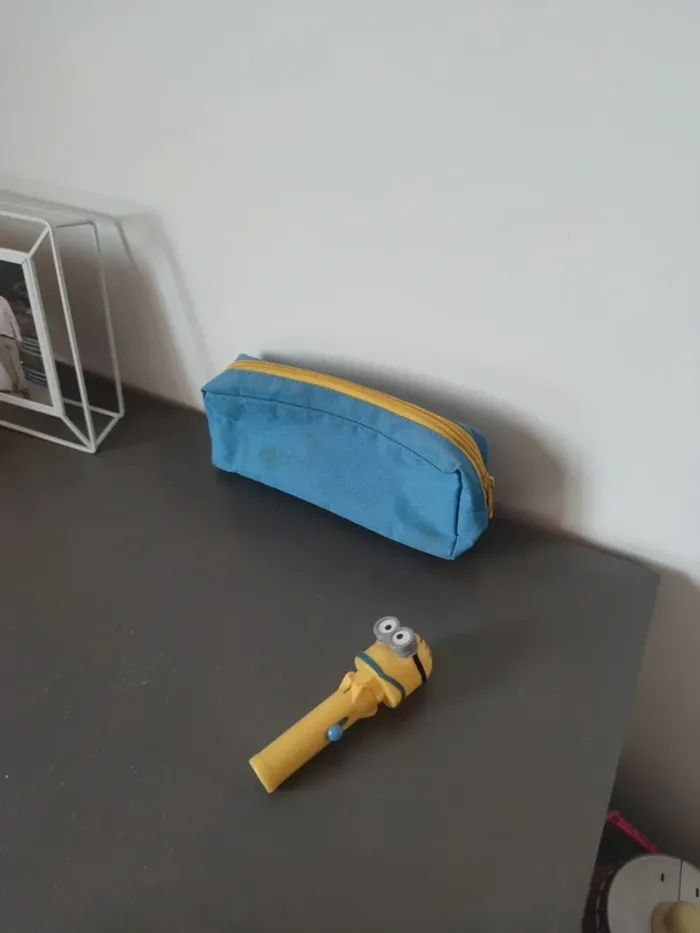 Lot trousse et accessoires minions - photo numéro 2