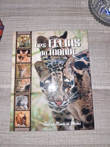 Livres animaux Les félins du monde