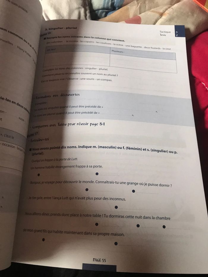 Tatou 3 français - photo numéro 15