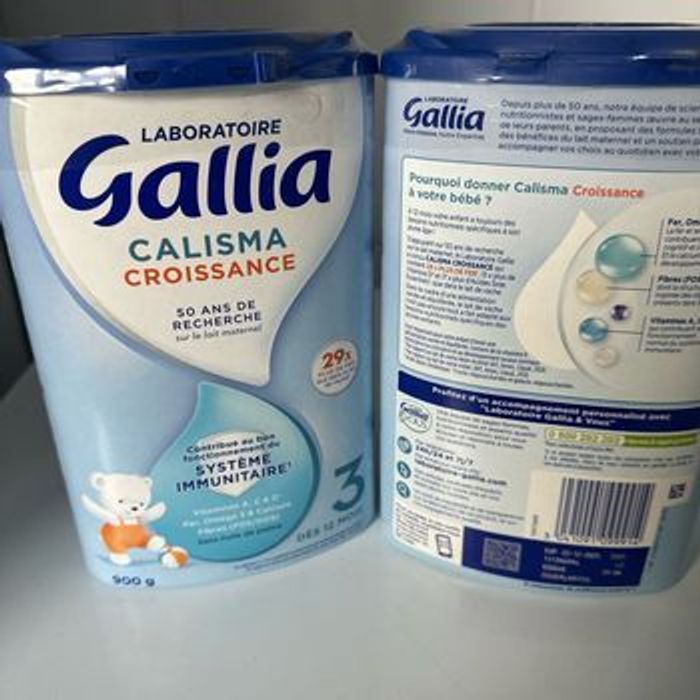 Gallia - photo numéro 4