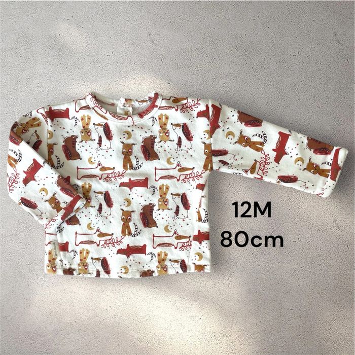 Pull chien petit béguin T12M 80cm