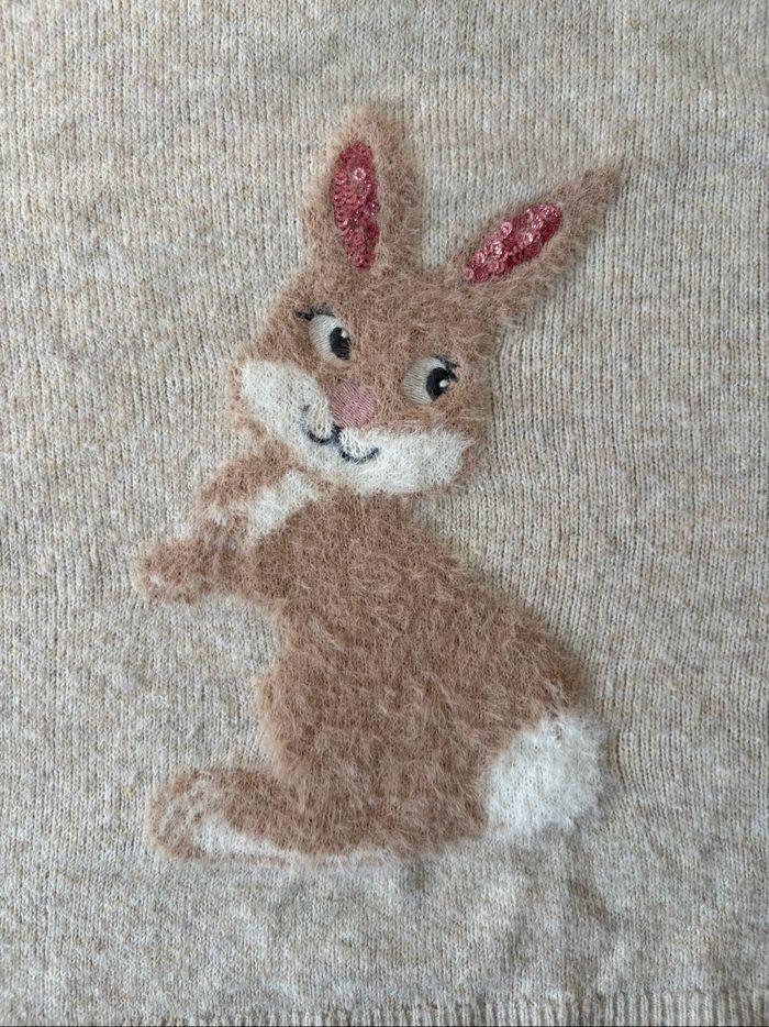 Pull lapin 8ans - photo numéro 2