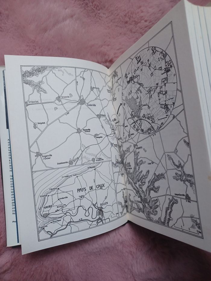 Livre le horsain vivre et survivre en paix de caux - photo numéro 7